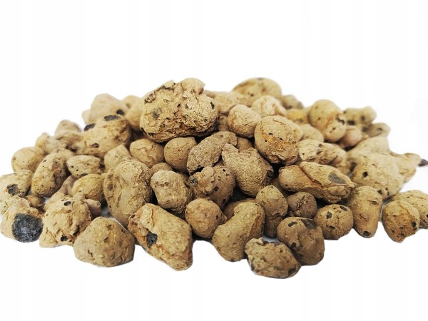 4dfafbfc4bf8bbc419b525ed7a1b