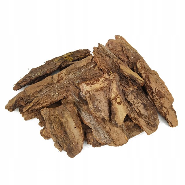 7603909f4cda90e7329aa875123d