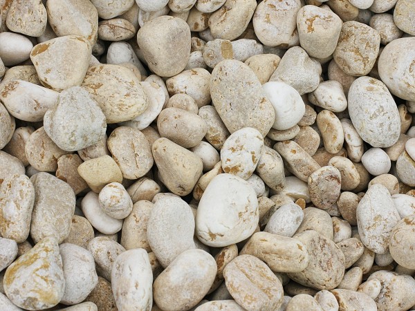 36979b984a5e81da1446557b8b7d