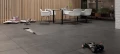 zoya-downtown-object3_wynik.webp