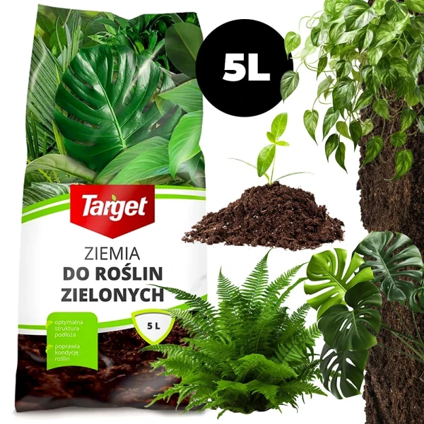 aa144eae050f6847894630ef92a3e6dc