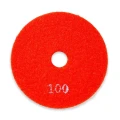 PRO Diamentowy dysk szlifierski 100mm M14 NA RZEP WT161