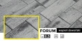 Kostka brukowa FORUM 6,5cm WAPIEŃ DEWOŃSKI BRUK-BET