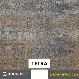 Kostka brukowa TETRA 6cm WAPIEŃ MUSZLOWY BRUK-BET
