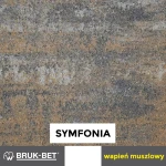 Kostka brukowa SYMFONIA 6cm WAPIEŃ MUSZLOWY BRUK-BET