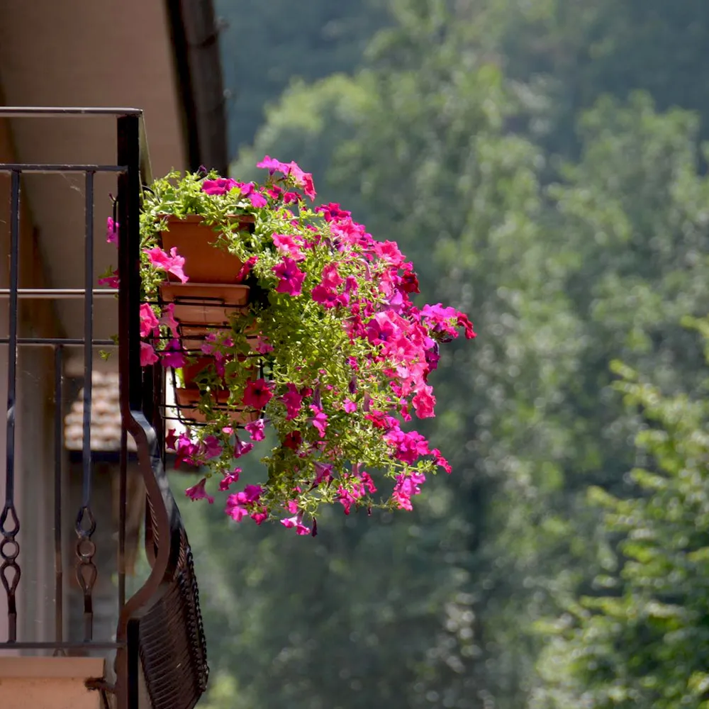 Kwiaty uprawiane na balkonie w ziemi 50l do kwiatów balkonowych