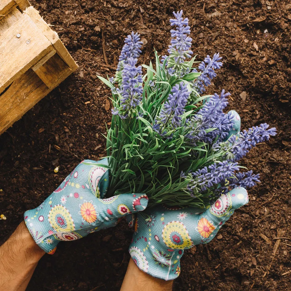 Sadzenie kwiatów w ziemi z nawozami 20l