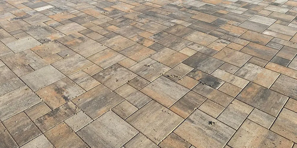 Visio wapień muszlowy zdjęcie 5