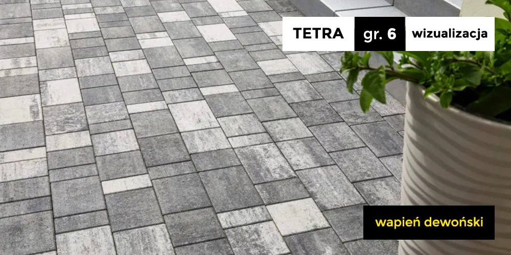 Kostka brukowa Tetra wapień dewoński bruk bet wizualizacja 1