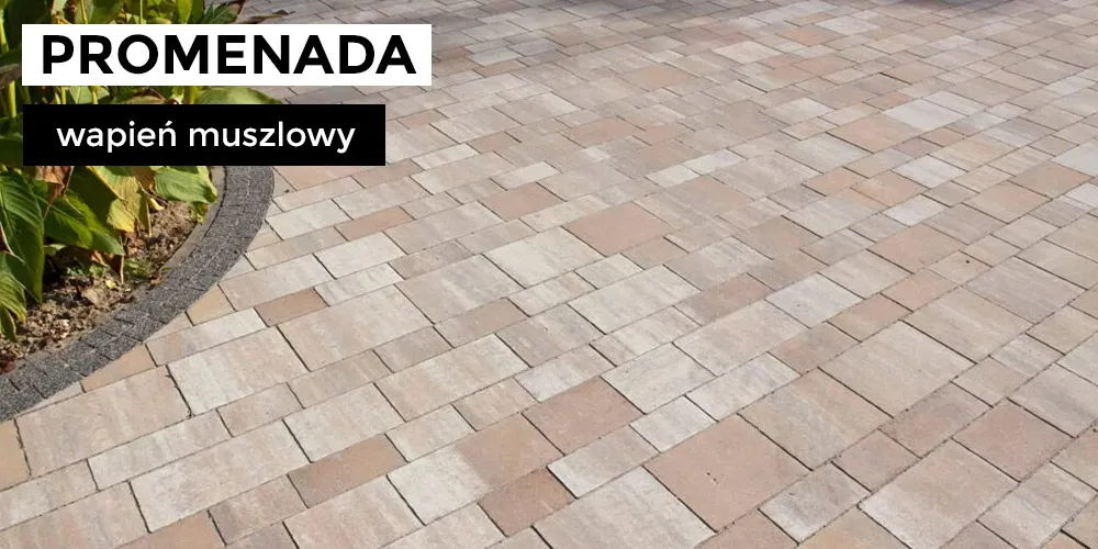 Kostka brukowa Promenada wapień muszlowy brukbet